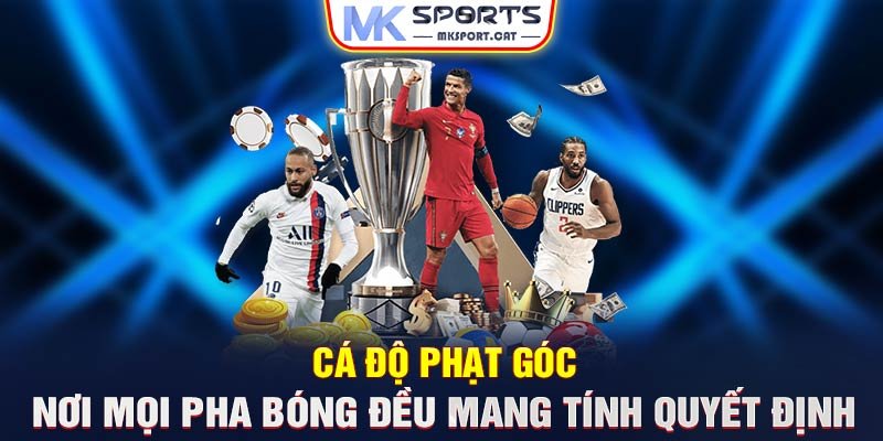 Ca-do-phat-goc-–-Noi-moi-pha-bong-deu-mang-tinh-quyet-dinh